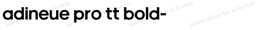 adineue PRO TT Bold字体转换